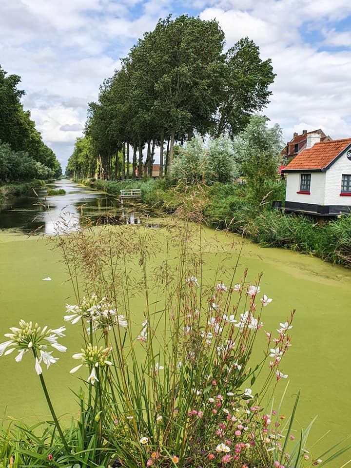 Fietsen In Het Brugse Ommeland & De Triënnale Brugge 2021 – Roeckiesworld